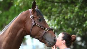 A Day in the Life of a Kentucky Derby Horse